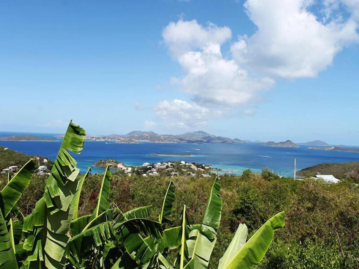 Serene Cruz Bay Villa Sep Mstr Kg Suite Stunning Sunsets Bagian luar foto